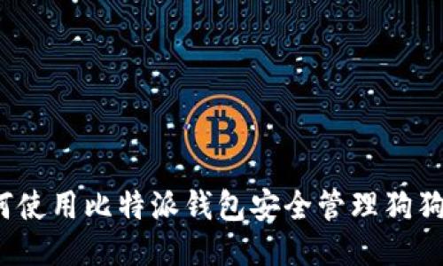 如何使用比特派钱包安全管理狗狗币？