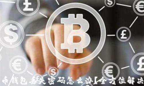 
比特币钱包丢失密码怎么办？全方位解决方案