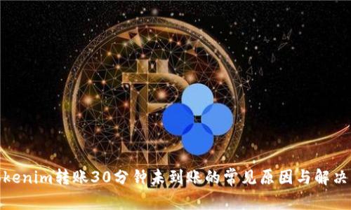 : Tokenim转账30分钟未到账的常见原因与解决方案