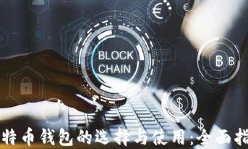 
比特币钱包的选择与使用：全面指南