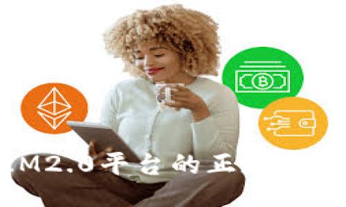 : IM2.0平台的正规性探讨