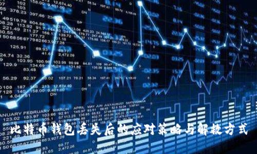 比特币钱包丢失后的应对策略与解救方式