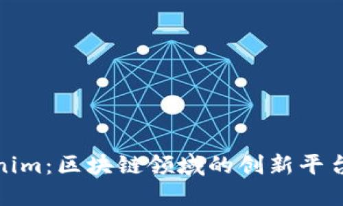 Tokenim：区块链领域的创新平台详解