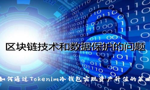 如何通过Tokenim冷钱包实现资产升值的策略