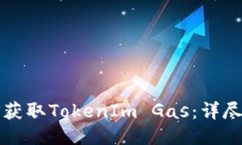 如何获取TokenIm Gas：详尽指南