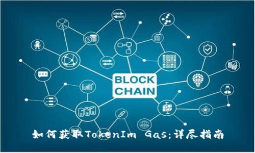 如何获取TokenIm Gas：详尽指南