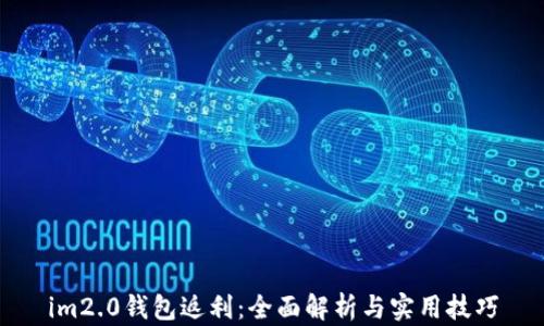 
im2.0钱包返利：全面解析与实用技巧