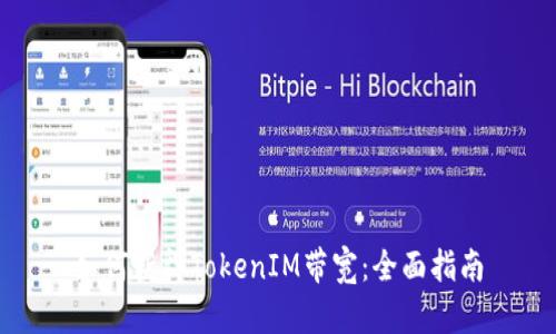如何获得TokenIM带宽：全面指南