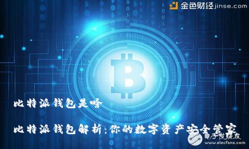 比特派钱包是啥

比特派钱包解析：你的数字资产安全管家