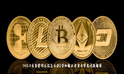 IM2.0交易密码忘记怎么办？详细解决方案与常见问题解析