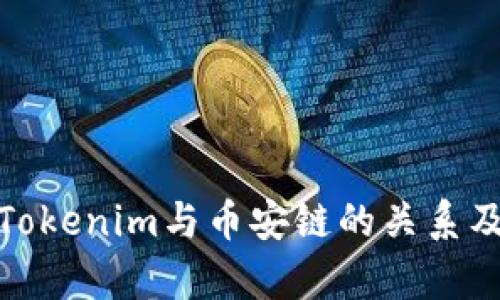 解析Tokenim与币安链的关系及影响