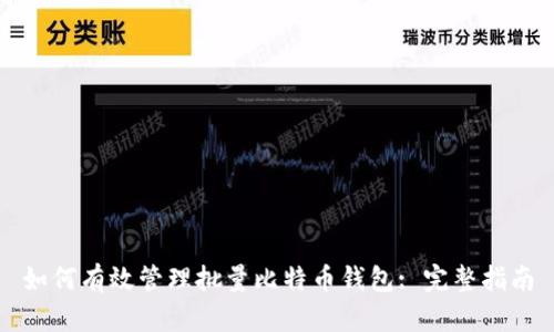 如何有效管理批量比特币钱包: 完整指南