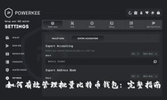 如何有效管理批量比特币