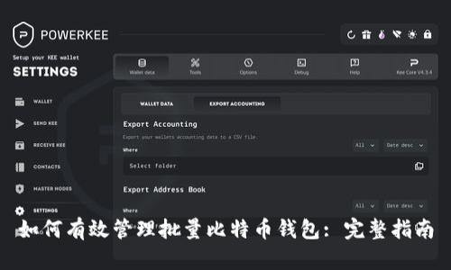 如何有效管理批量比特币钱包: 完整指南