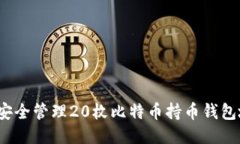如何安全管理20枚比特币持