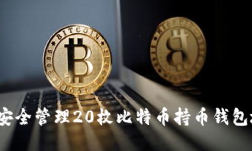 如何安全管理20枚比特币持币钱包地址？