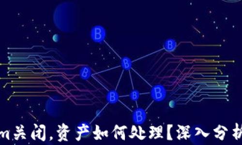 
如果Tokenim关闭，资产如何处理？深入分析与应对策略