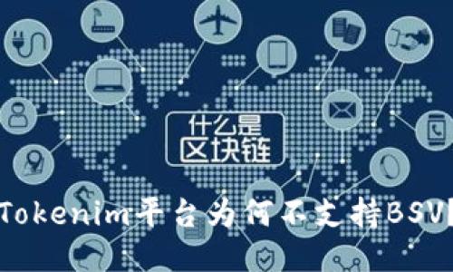 Tokenim平台为何不支持BSV？