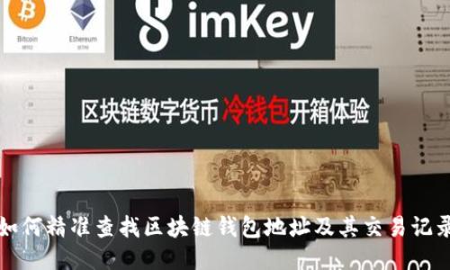 如何精准查找区块链钱包地址及其交易记录