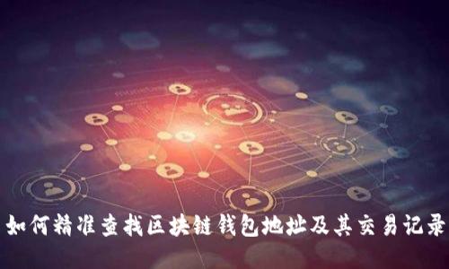 如何精准查找区块链钱包地址及其交易记录