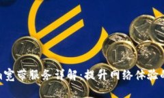 Tokenim宽带服务详解：提升