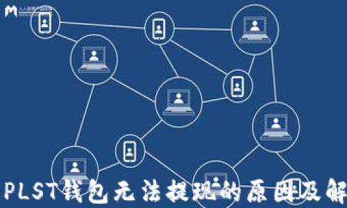 
比特币PLST钱包无法提现的原因及解决方案