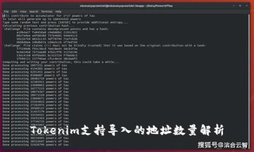 Tokenim支持导入的地址数量解析