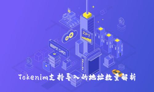 Tokenim支持导入的地址数量解析