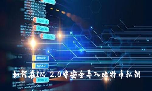 如何在IM 2.0中安全导入比特币私钥