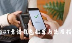 USDT靠谱钱包推荐与使用指