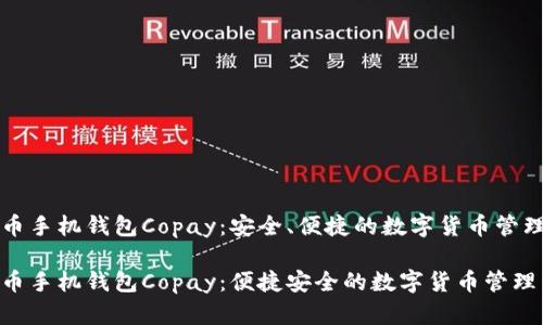 比特币手机钱包Copay：安全、便捷的数字货币管理工具

比特币手机钱包Copay：便捷安全的数字货币管理