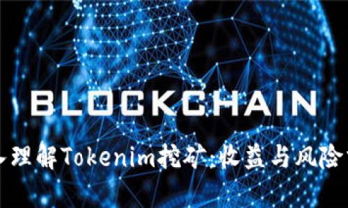 深入理解Tokenim挖矿：收益与风险分析