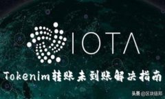 Tokenim转账未到账解决指南