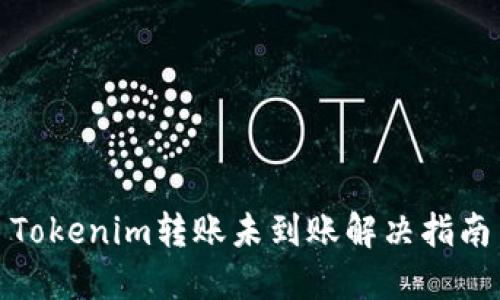 Tokenim转账未到账解决指南