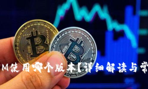 TokenIM使用哪个版本？详细解读与常见问题