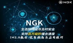 IM2.0教程：完整指南与应用