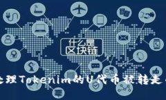 如何处理Tokenim的U代币被转