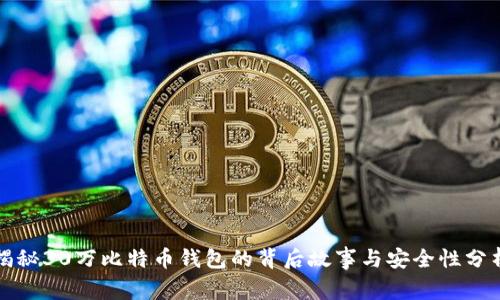 揭秘30万比特币钱包的背后故事与安全性分析