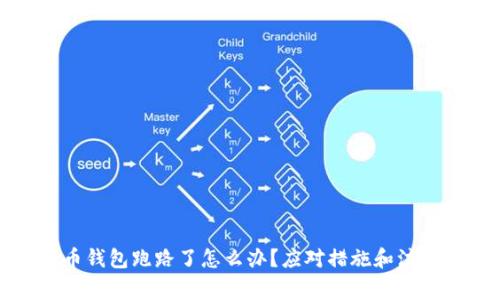 比特币钱包跑路了怎么办？应对措施和注意事项