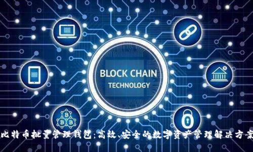 比特币批量管理钱包：高效、安全的数字资产管理解决方案