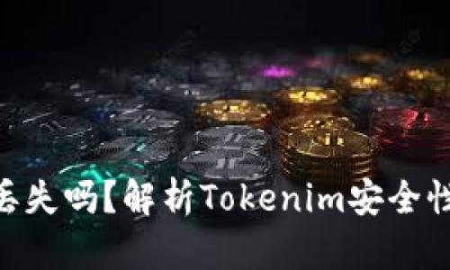 Tokenim会丢失吗？解析Tokenim安全性的多个方面