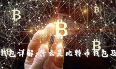 : 比特币钱包详解：什么是