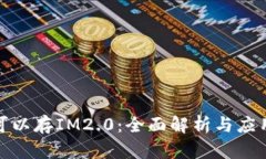OMG可以存IM2.0：全面解析与
