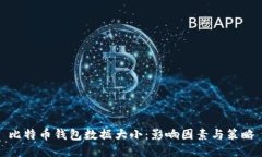 比特币钱包数据大小：影