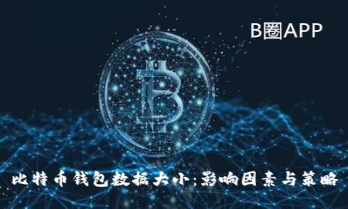 比特币钱包数据大小：影响因素与策略