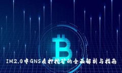 IM2.0中GNS质押挖矿的全面解