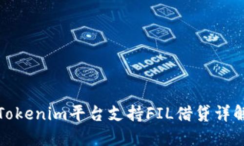 Tokenim平台支持FIL借贷详解