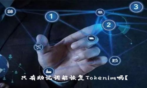只有助记词能恢复Tokenim吗？