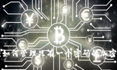 Tokenim：如何管理只有一个
