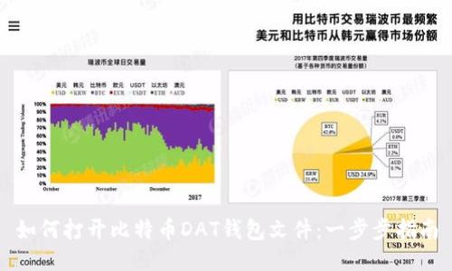 如何打开比特币DAT钱包文件：一步步指南